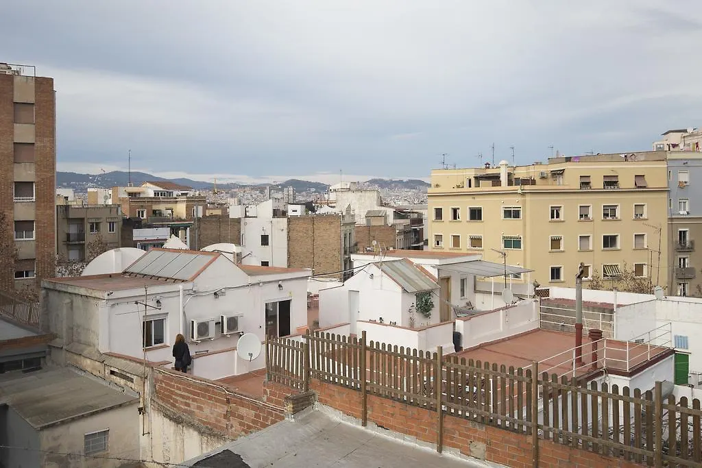Zoo Loco Hostal Barcelona
