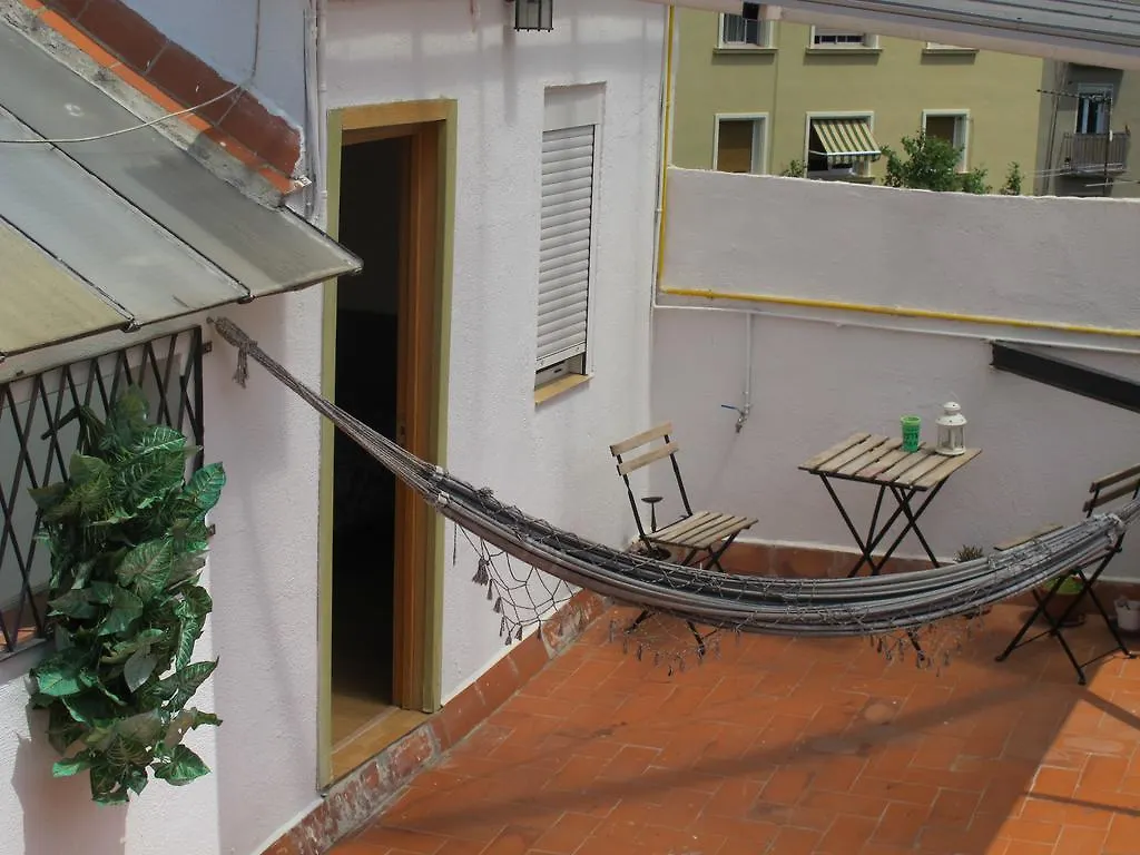 Zoo Loco Hostal Barcelona Pensión